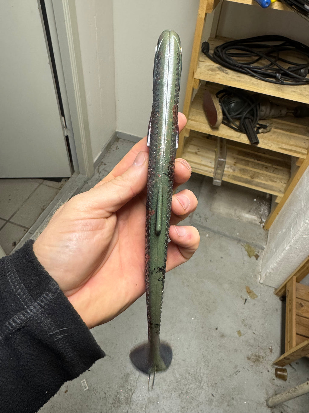 Slinko Shad 25cm - Burbot Motoroil